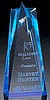 Blue Star Award (3 1/2"x8"x2")